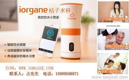 個(gè)人護(hù)理電器市場(chǎng)概覽 其他個(gè)人護(hù)理電器的價(jià)格、廠家與批發(fā)渠道